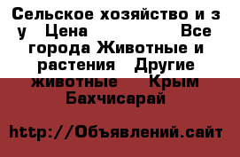 Сельское хозяйство и з/у › Цена ­ 2 500 000 - Все города Животные и растения » Другие животные   . Крым,Бахчисарай